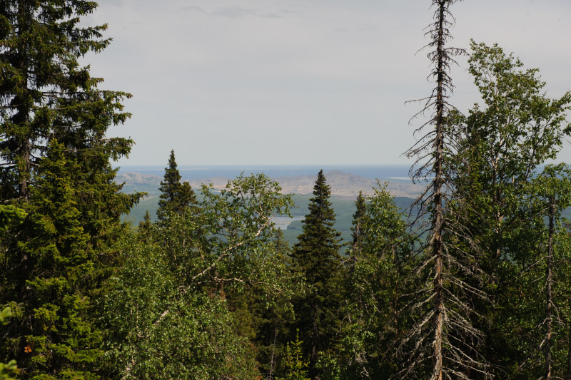    Фото: © Dmitry Chasovitin/Globallookpress