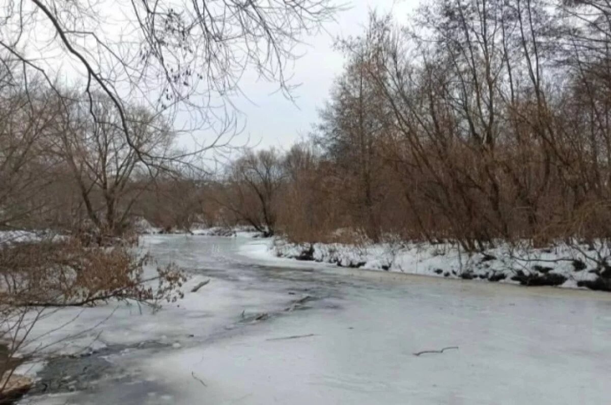    Крещенских купаний на водоёмах Ульяновска не будет