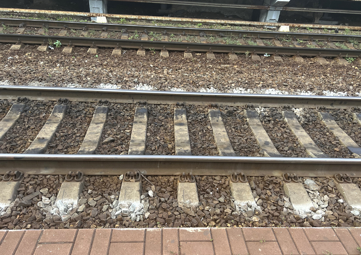 Фото © «Московская газета»