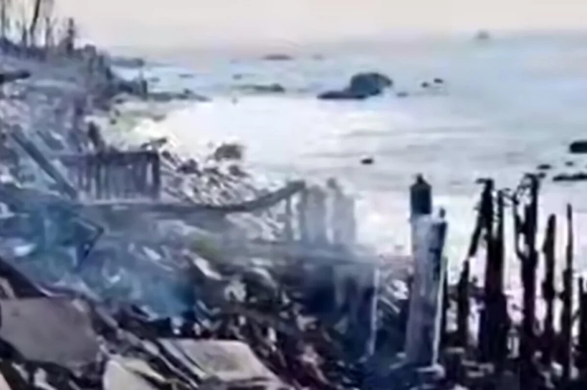    WP: пожар в Калифорнии мог начаться из-за новогодних фейерверков