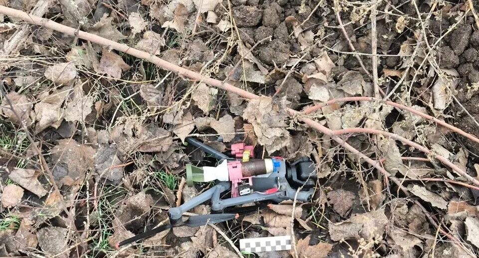     УФСБ России по ДНР