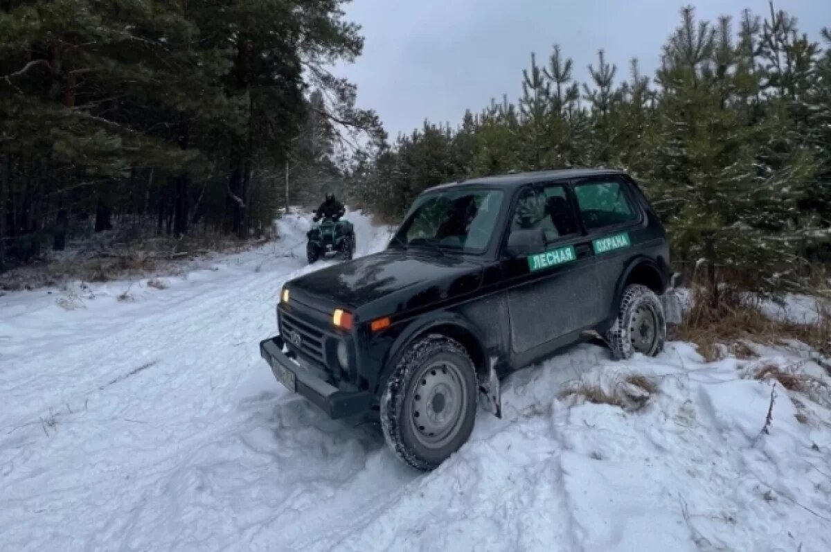    В Челябинской области браконьеры нанесли ущерб лесам на 635 тысяч рублей