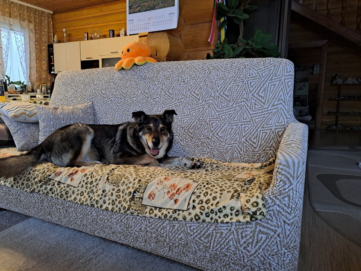 Чудо - расчудесное !