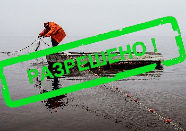 Всего три дня и Госуслуги ПОМОГУТ СТАВИТЬ СЕТИ рыболовам любителям