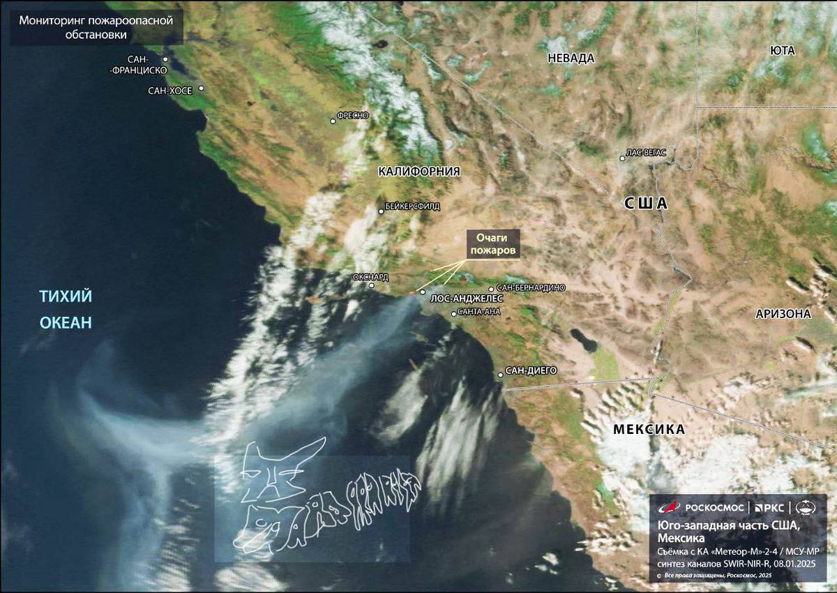 Тоже, обрисовка.