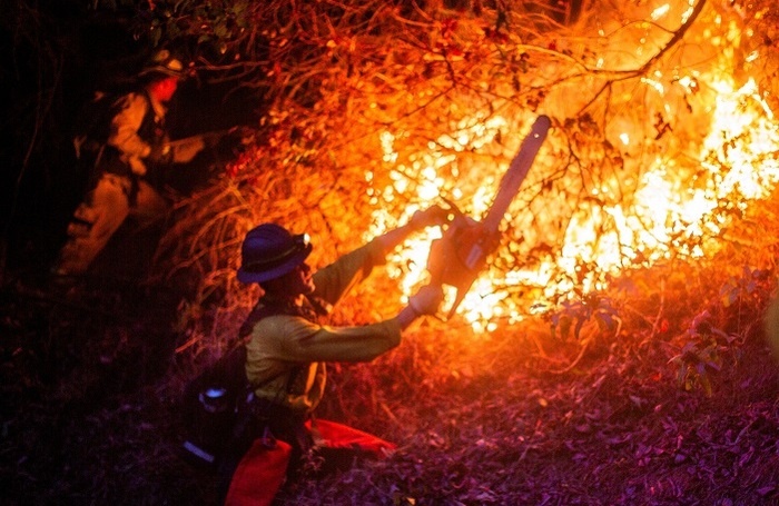    Пожарный работает во время пожара в Палисейдс. Калифорния, США, 12 января 2025 года. Reuters/Ringo Chiu