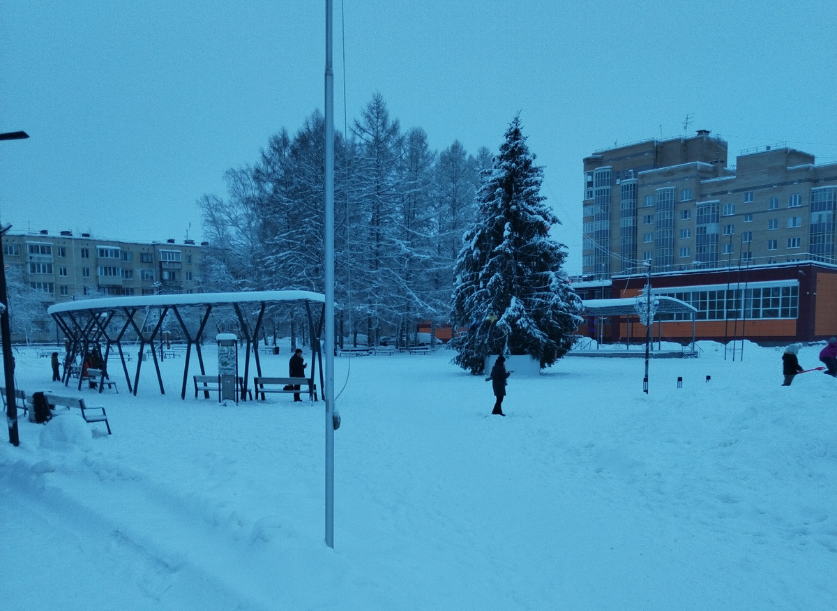 Елка в Романовке, январь 2025 г., из личных фото автора Лидии Шатиловой