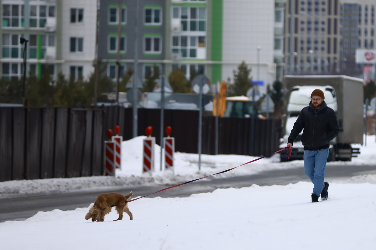 Автор фото: Павел Хацаюк / ИД «Вечерняя Казань»