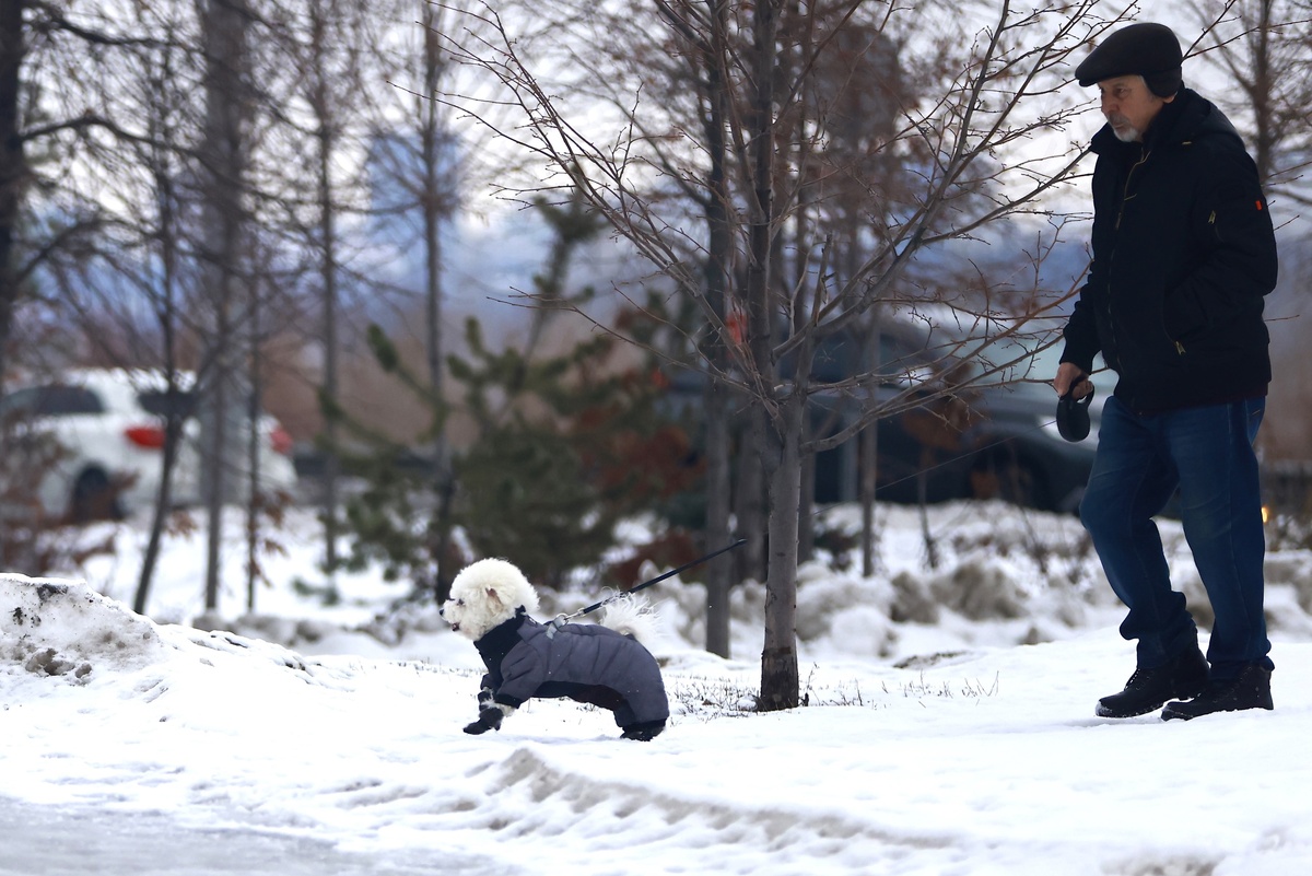 Автор фото: Павел Хацаюк / ИД «Вечерняя Казань»
