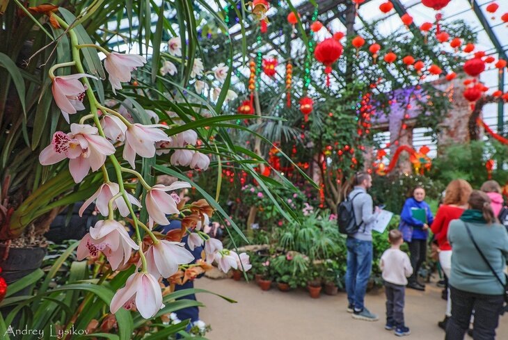 Из открытых источников