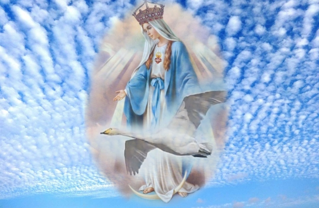 Символ моего сна 