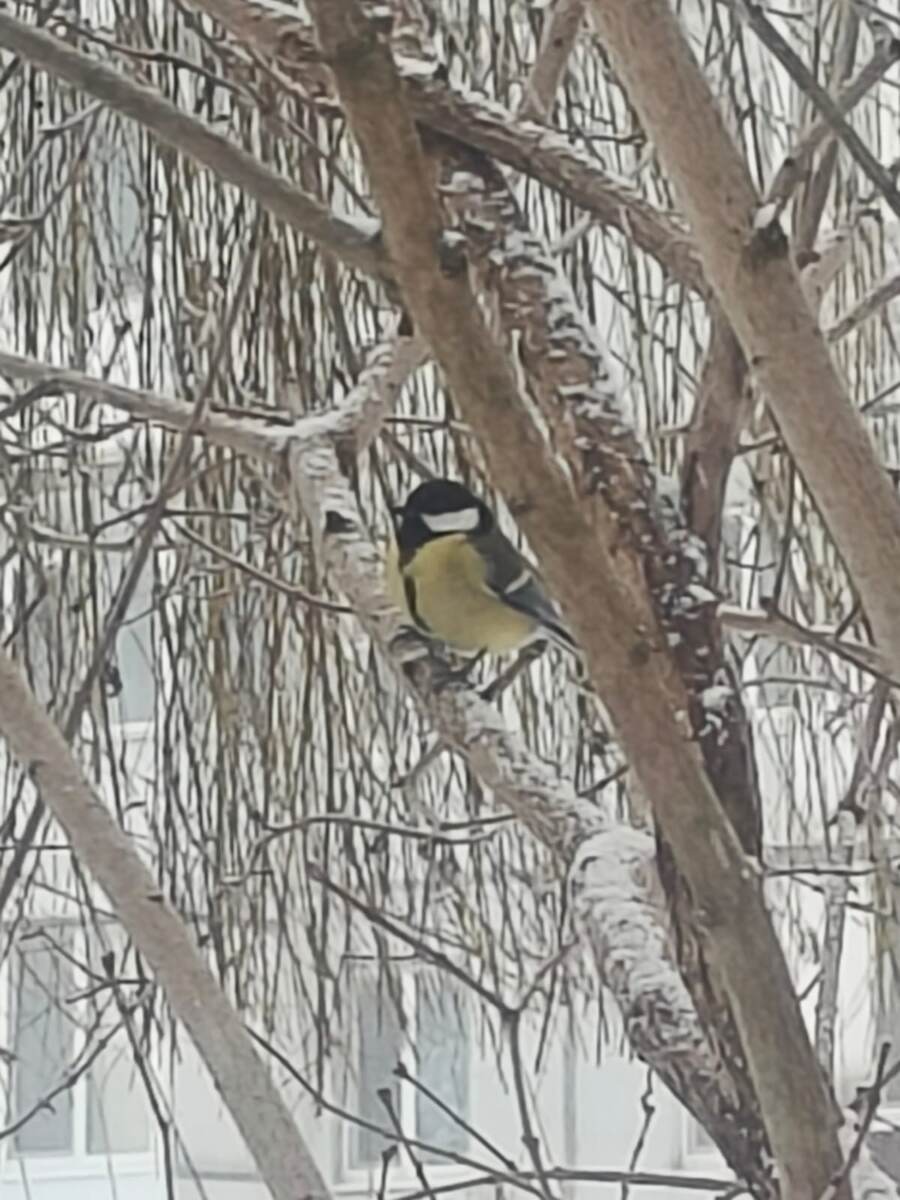 Фото Людмилы Комогорцевой