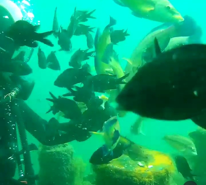 Моя дочь в Крыму с рыбками