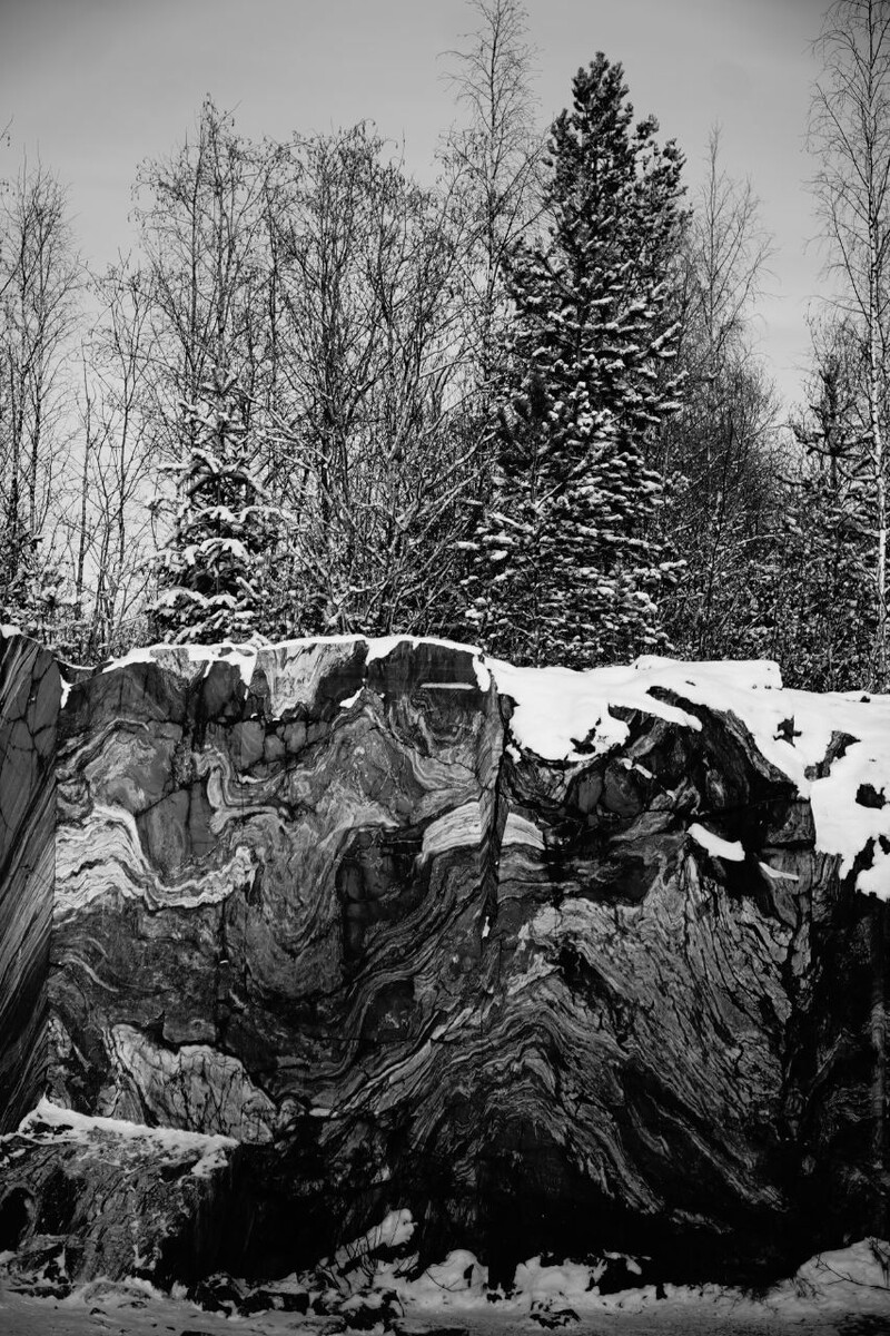 Белое и чёрное 