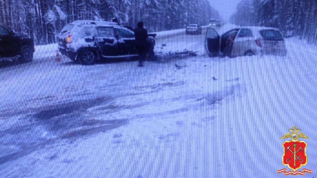    Фото: t.me/spb_police78