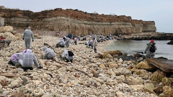    © Telegram Михаил Развожаев