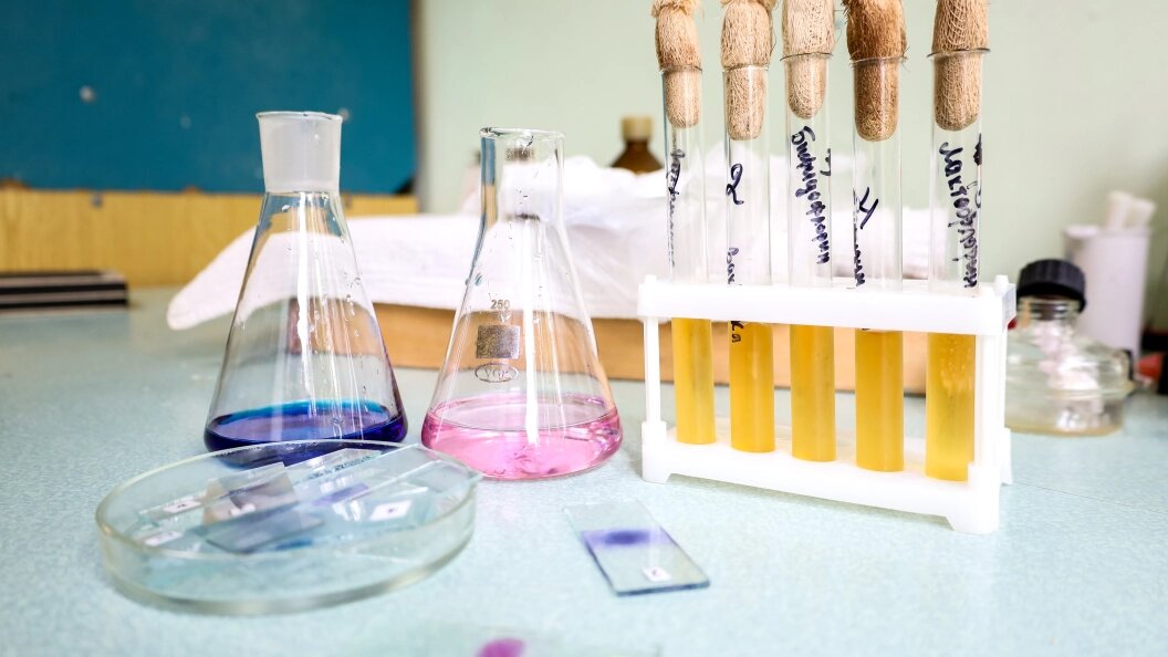    Elena Mayorova/Globallookpress