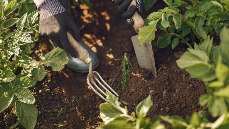 Источник: Freepik