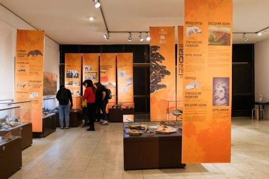    Фото: Александр Вдовенко