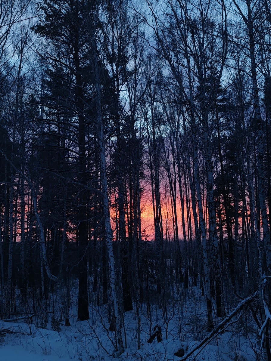 По пути в Богданович