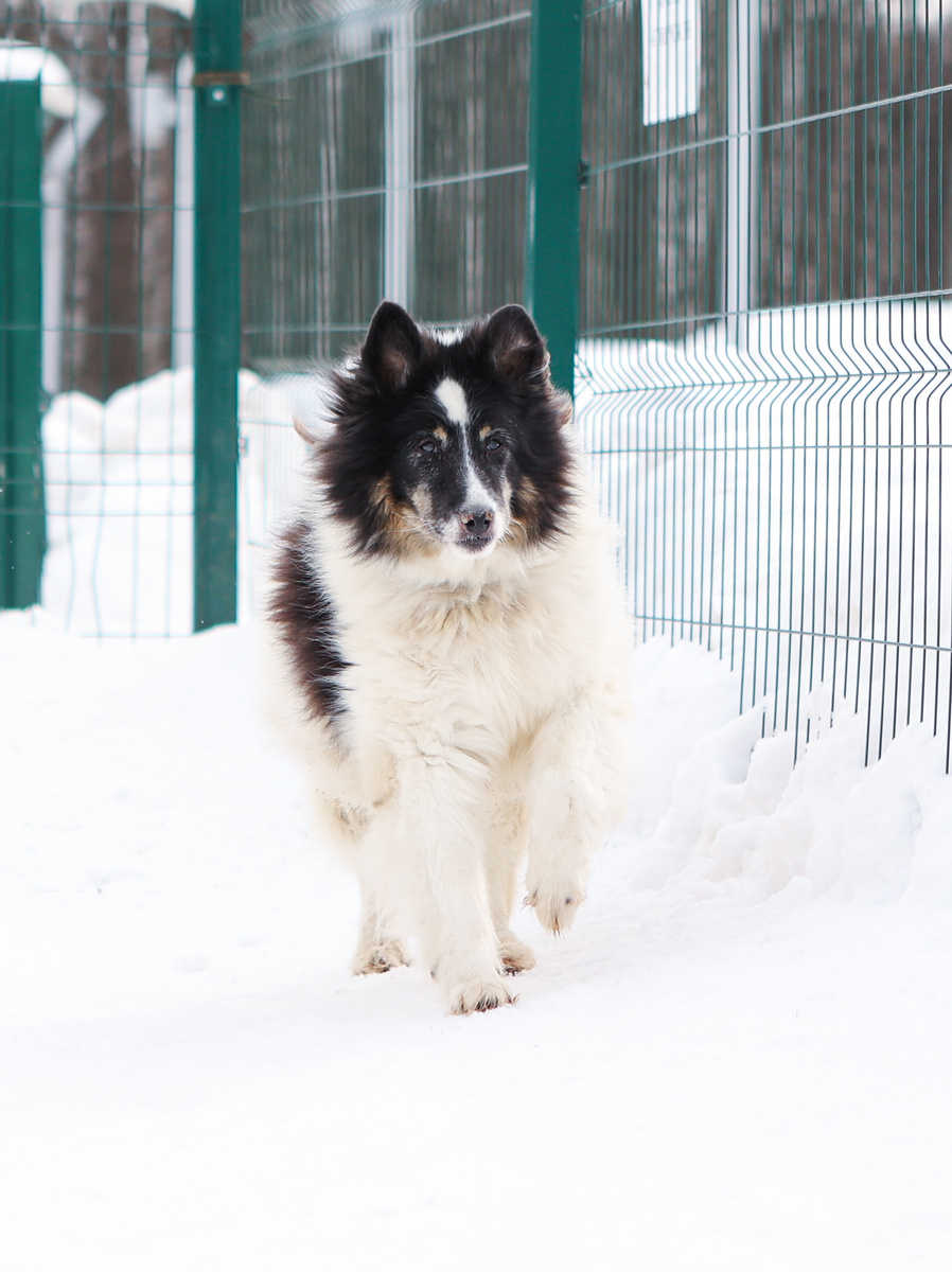 Вы наверное нас таких не поймете... Но здесь тоже нужно уметь улыбаться. Жить всем хочется