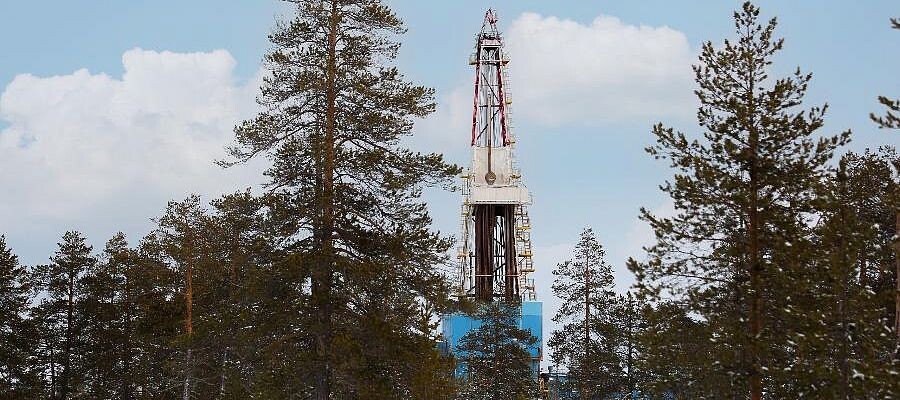 Источник фото: ЛУ