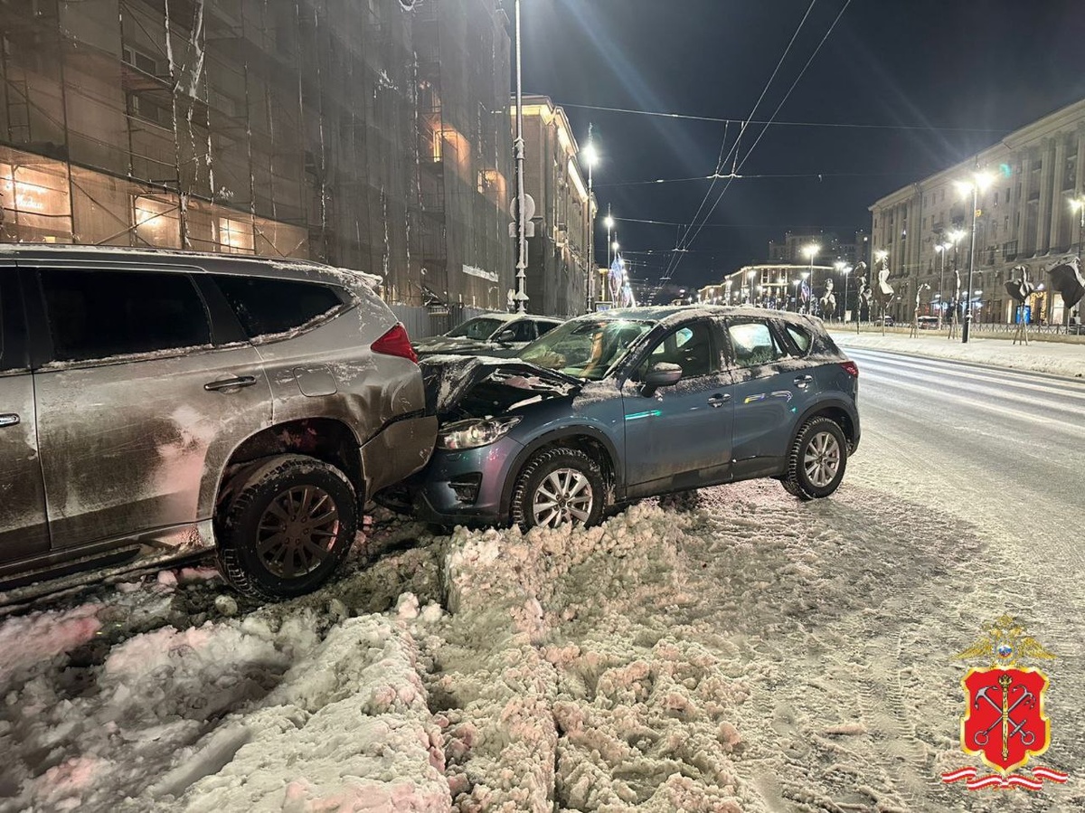 Фото: пресс-служба ГУ МВД России по Санкт-Петербургу и Ленинградской области 