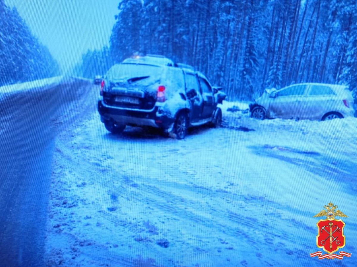 Фото: пресс-служба ГУ МВД России по Санкт-Петербургу и Ленинградской области