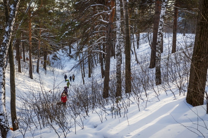    Фото Андрея Заржецкого
