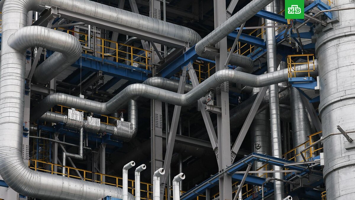    Фото: РИА Новости © 2025, Павел Львов