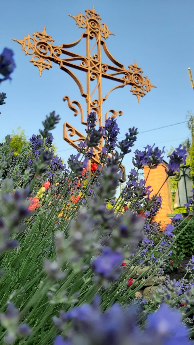 Поклонный Крест у входа в Троице-Васильевский храм с ул.Васильевская