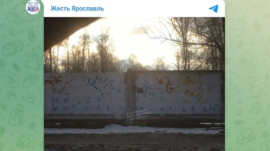    фото: тг-канал "жесть ярославля".