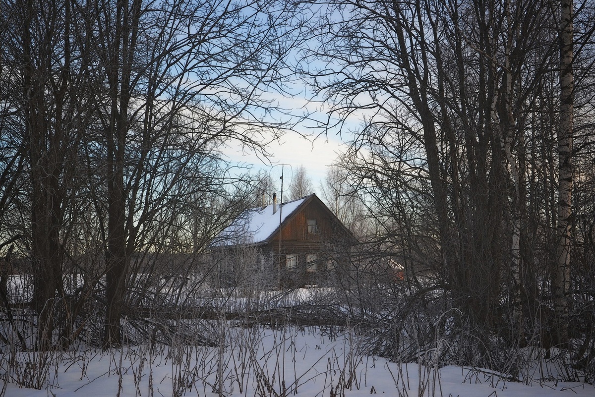 Фото: Татьяна Анухина