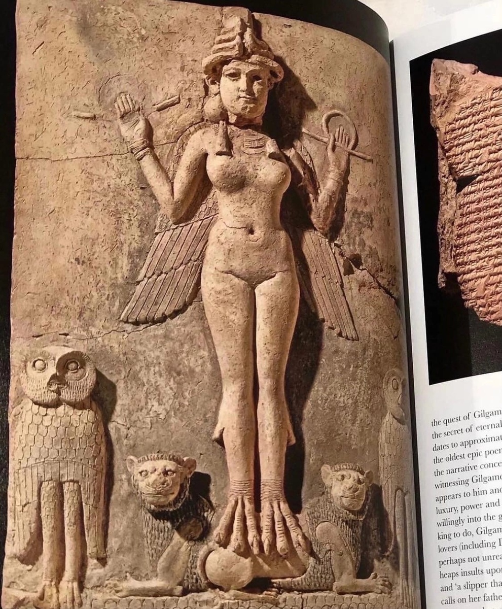 Femine power. Belinda Crerar