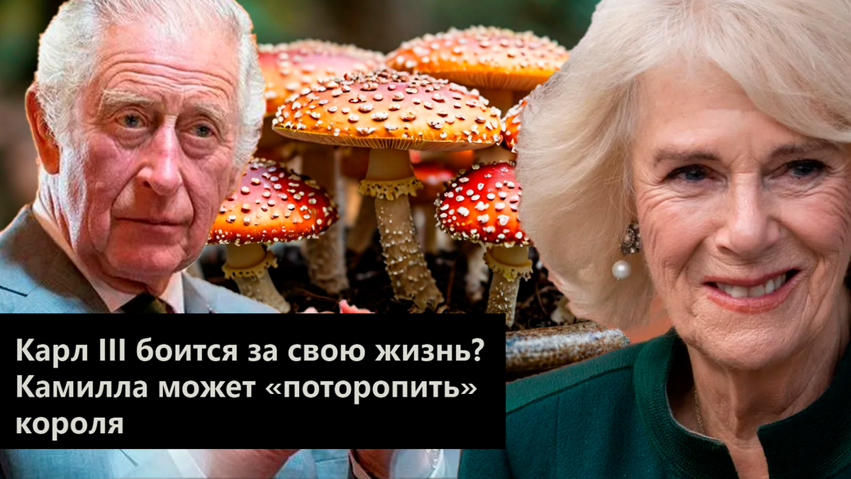 Коллаж автора