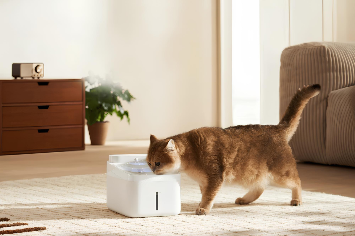 Источник: Xiaomi