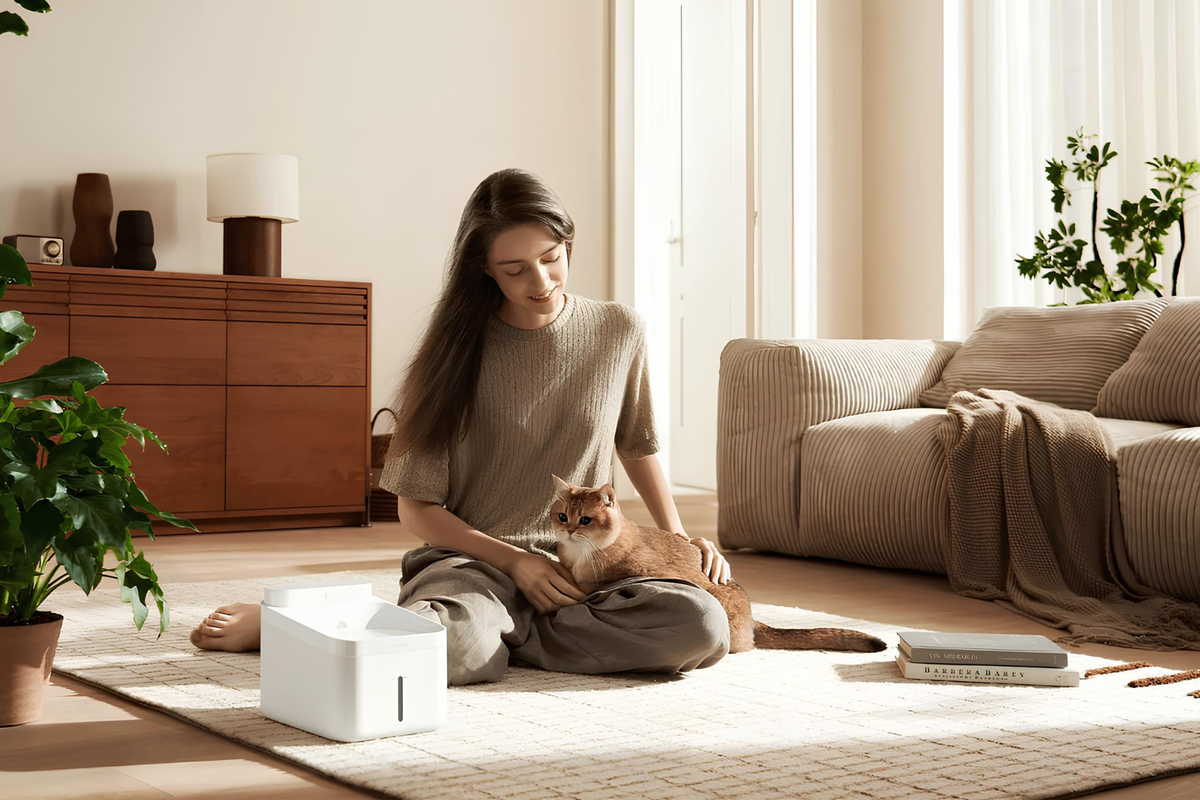 Источник: Xiaomi