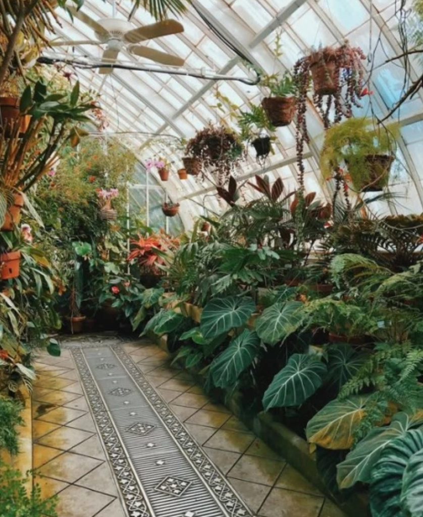Пример оранжереи 