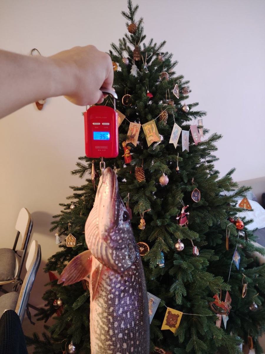 трофей на 3.5 кг