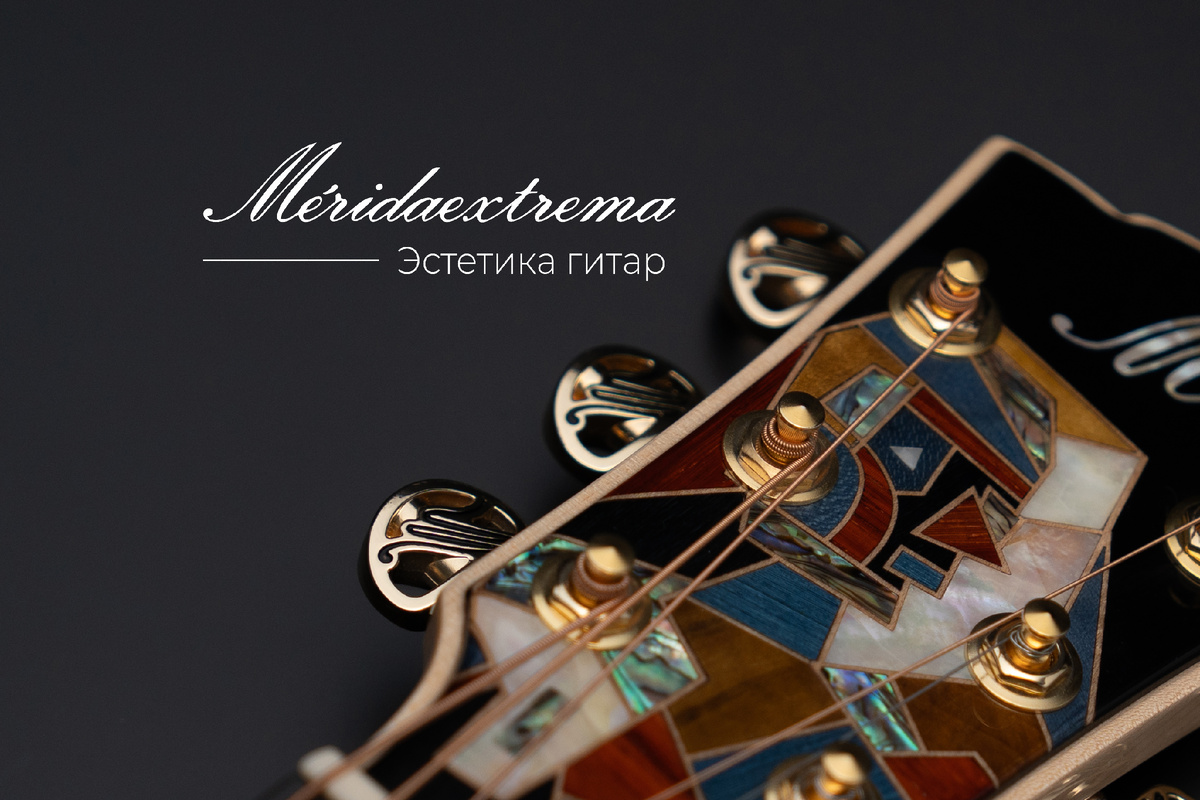 Эстетика гитар MeridaExtrema. На фото акустическая гитара MeridaExtrema Poison