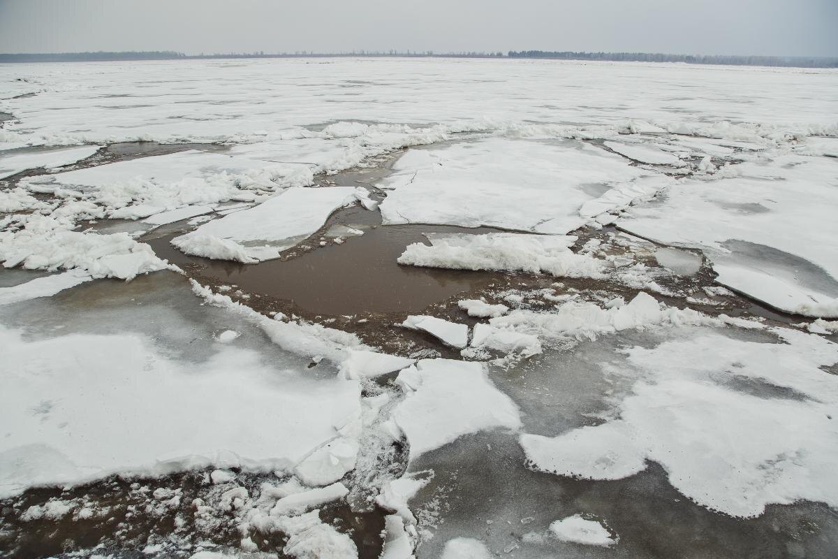    В речпорту Сургута младшеклассники провалились под лед