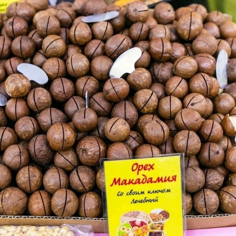 Фото взято из Интернета 