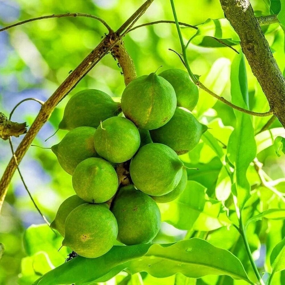 Фото взято из Интернета 