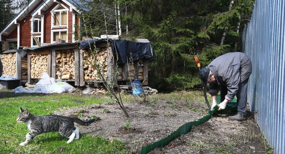    РИА «Новости»