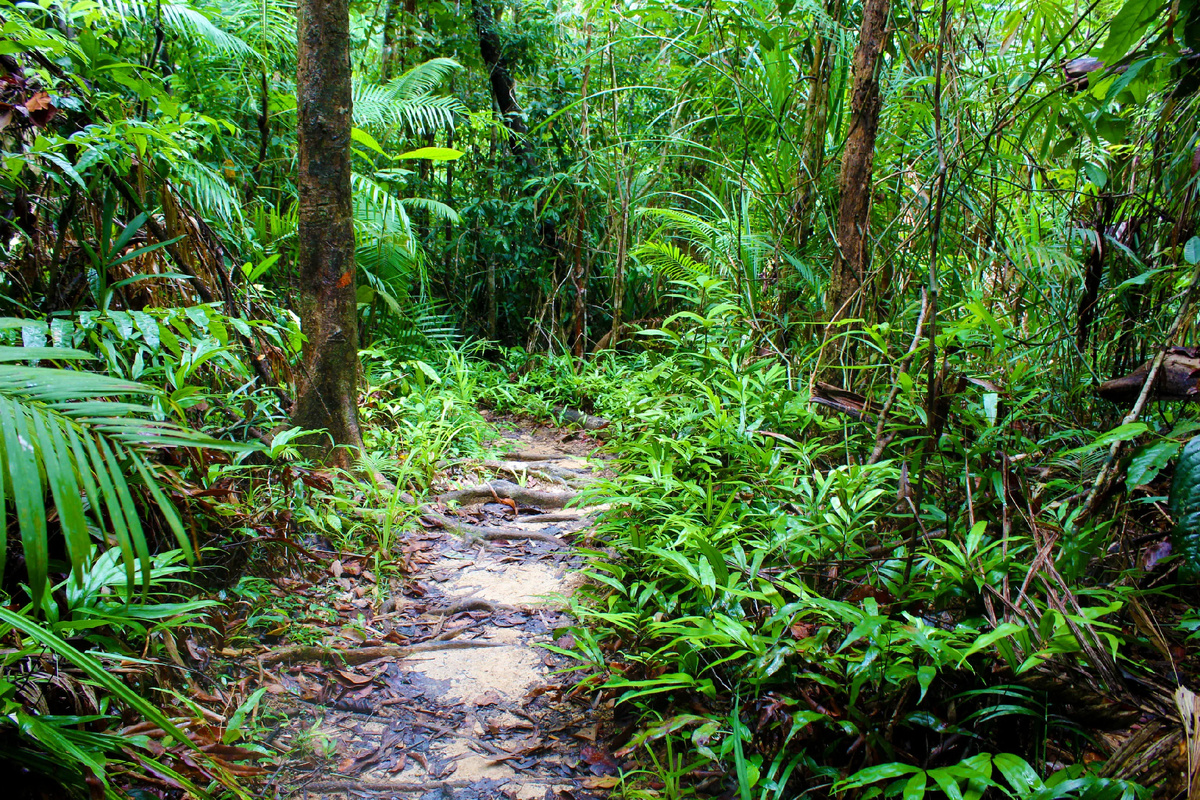 Источник Яндекс картинки