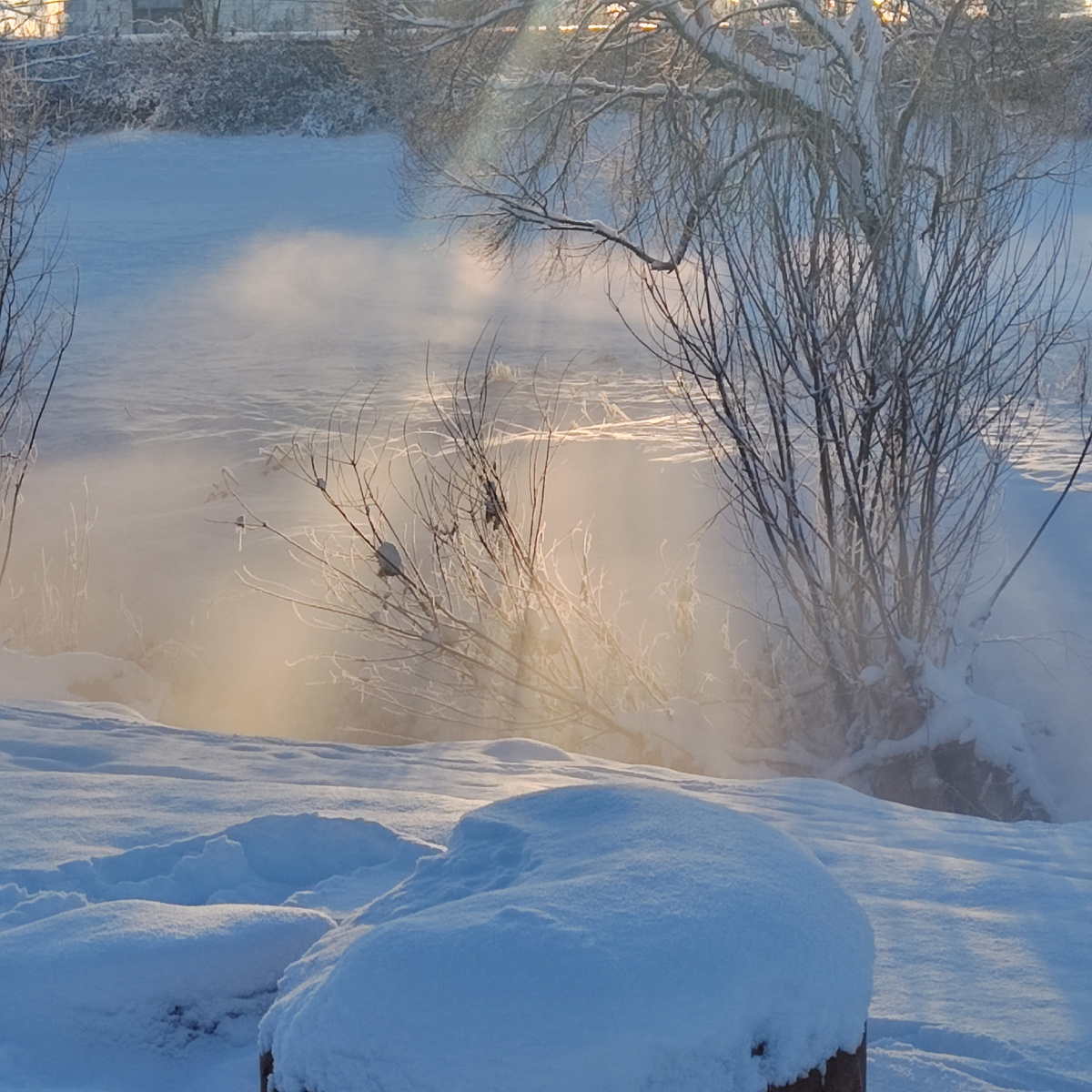 Сон о вечеринке. Фото автора