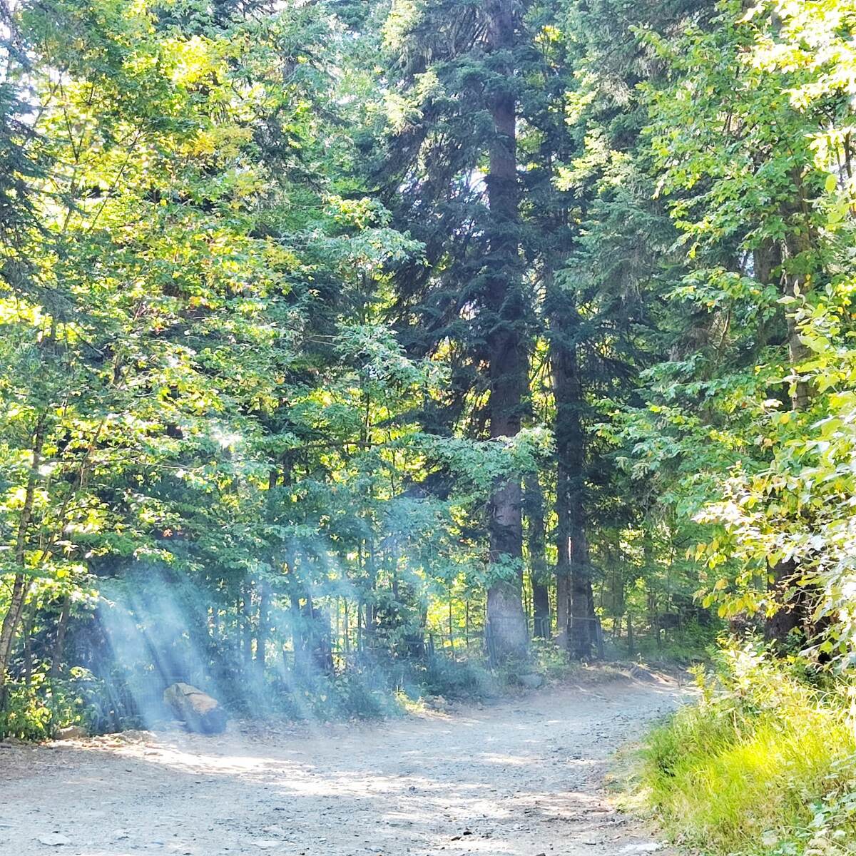 Сон о вечеринке. Фото автора