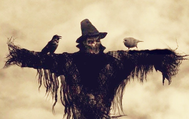 Яндекс Картинки 