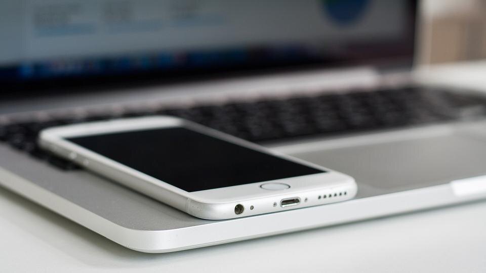    Фото: pixabay.com