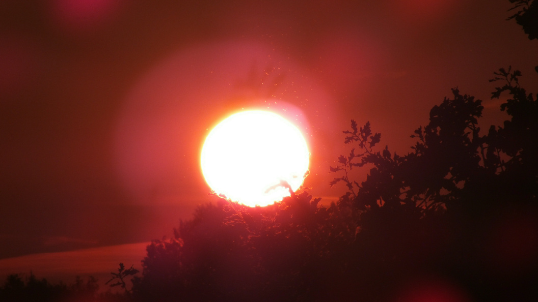    Victor Lisitsyn/Global Look Press